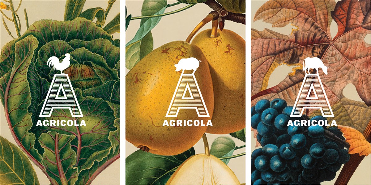 Agricola餐厅VI设计案例