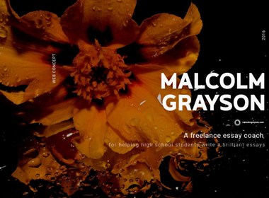 malcolmgrayson宣传网站