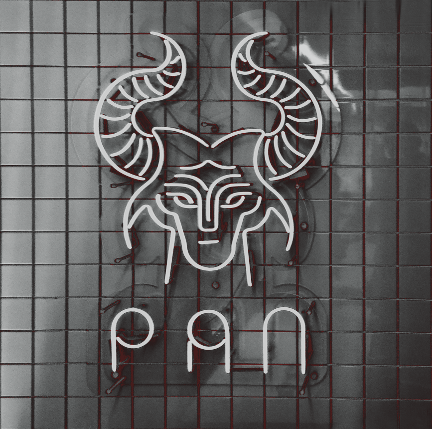 PAN品牌设计