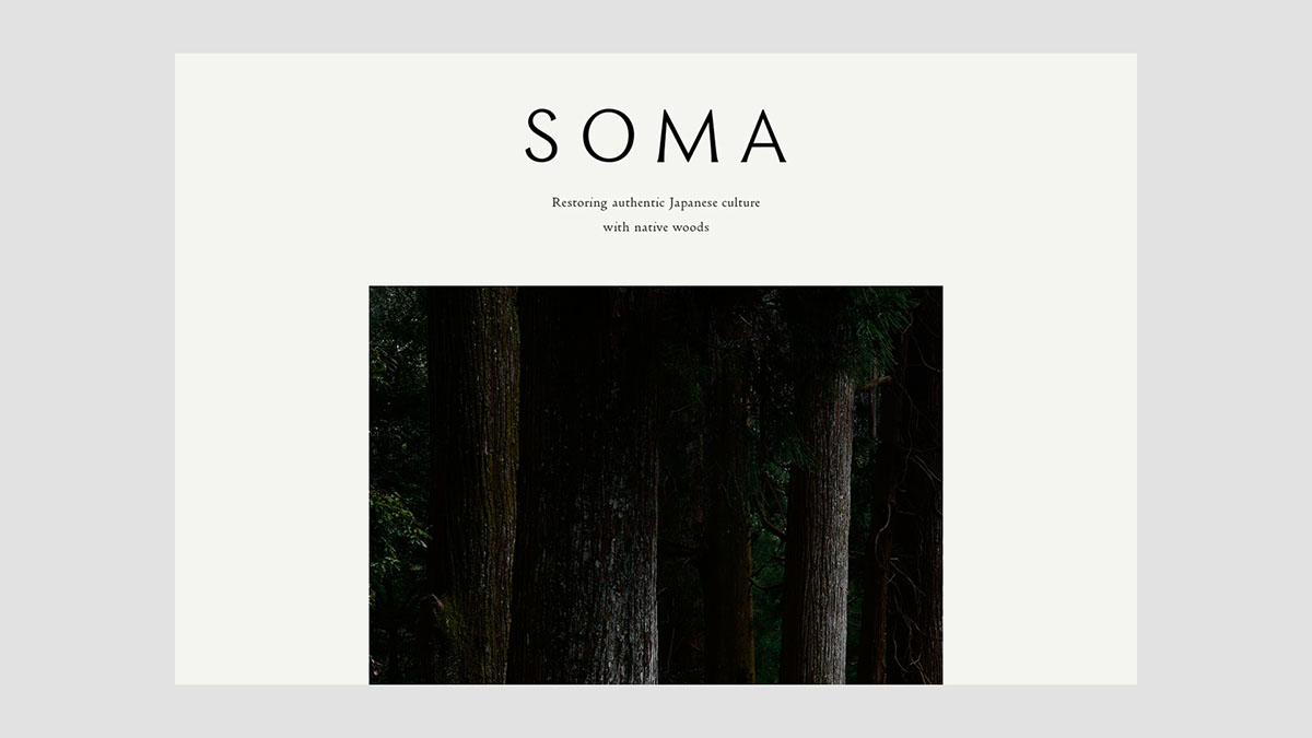 SOMA品牌设计