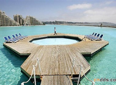 世界上最大的游泳池