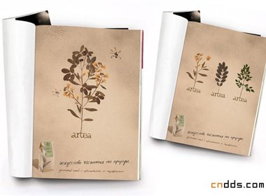 ARTEA（茶）包装设计欣赏