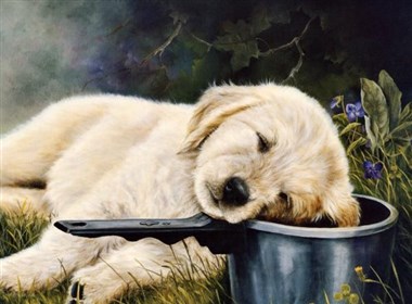 油画师画笔下可爱的小动物