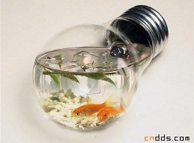 废旧灯泡的再次利用