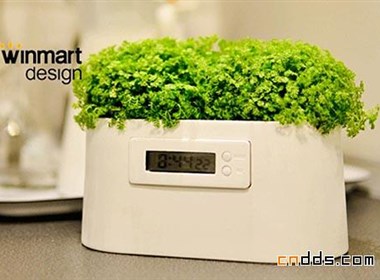 靠植物发电的电子钟