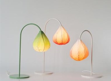 Bloom Lamps 灯具设计