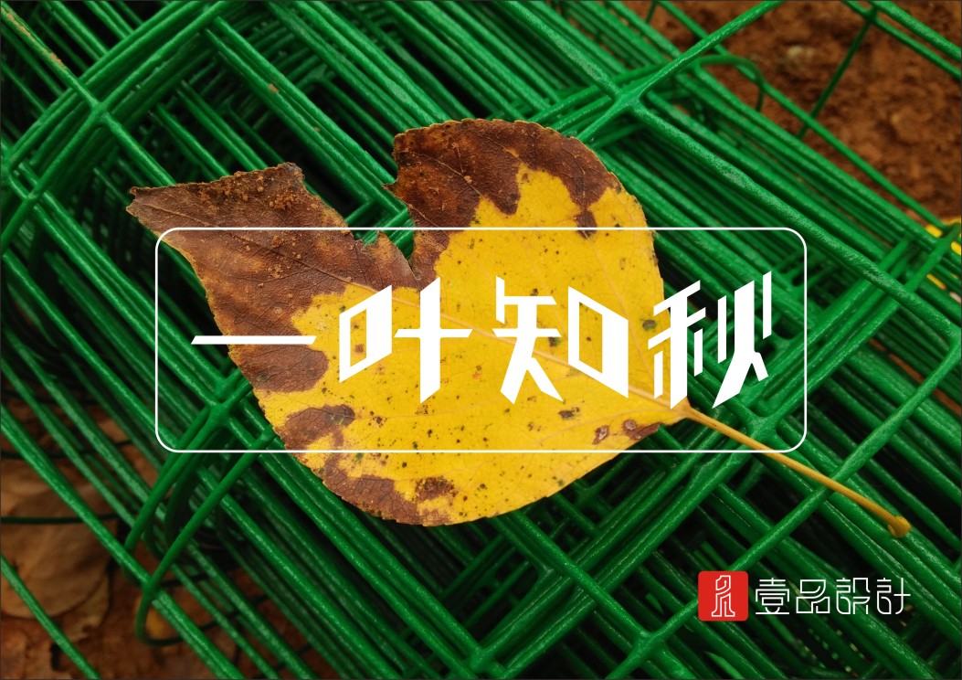 字體設計