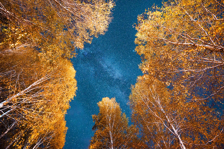 北疆的秋