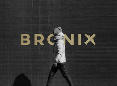 哈萨克斯坦bronix旅游公司品牌设计