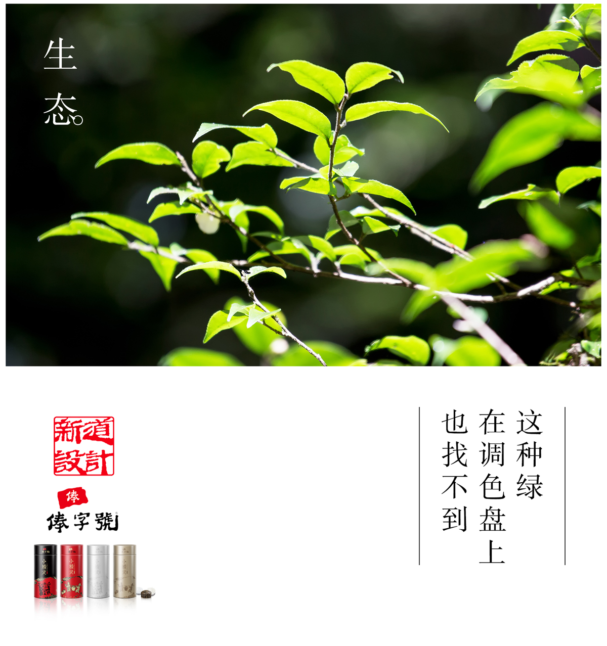 新道設(shè)計(jì) 俸字號(hào)普洱茶包裝設(shè)計(jì) 昆明茶葉包裝