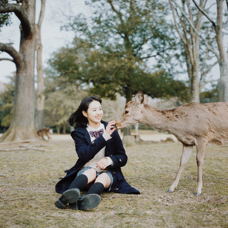 奈良的小鹿—人像摄影