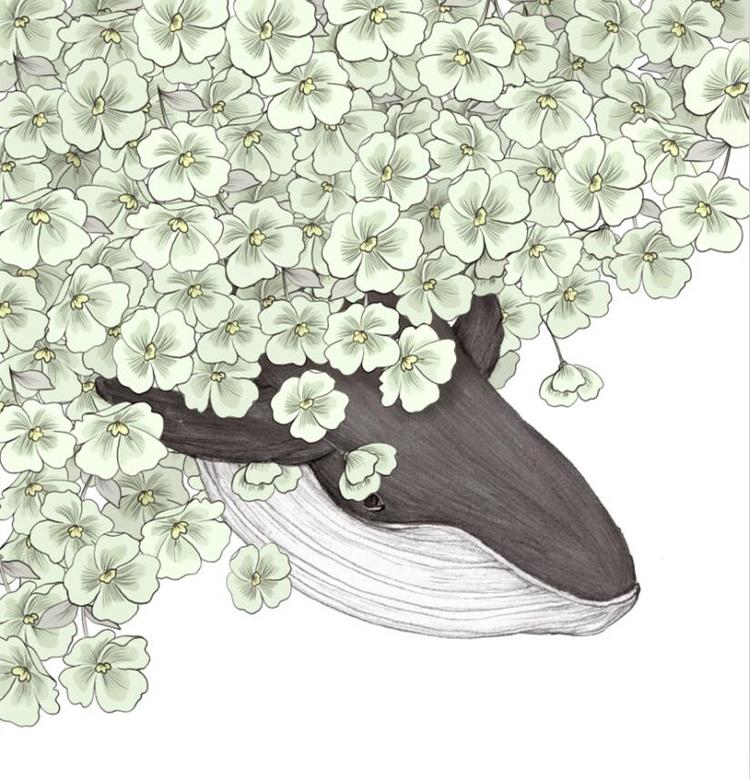 花朵团簇插画欣赏