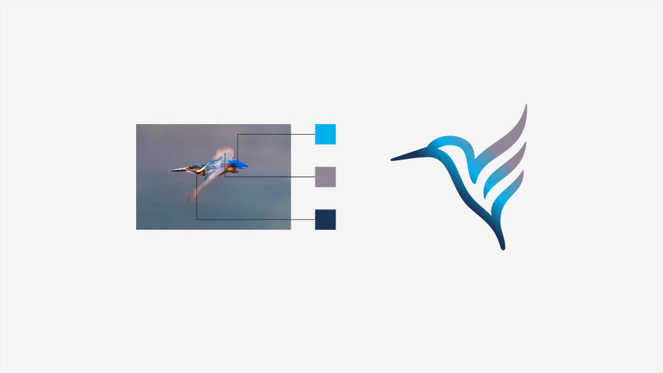 翠鸟游艇俱乐部标志设计，策划设计｜五源品牌设计