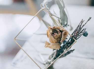 小日子 —静物摄影