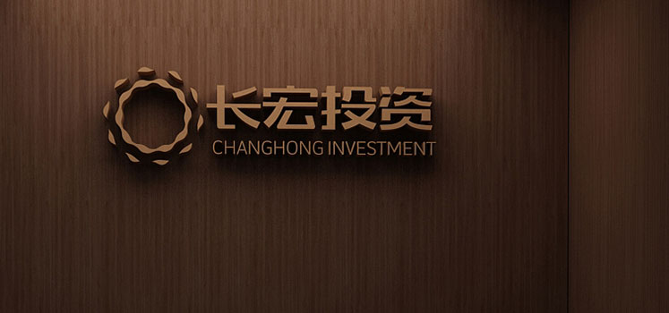 投资公司vi设计，深圳vi设计公司，zonebrand设计