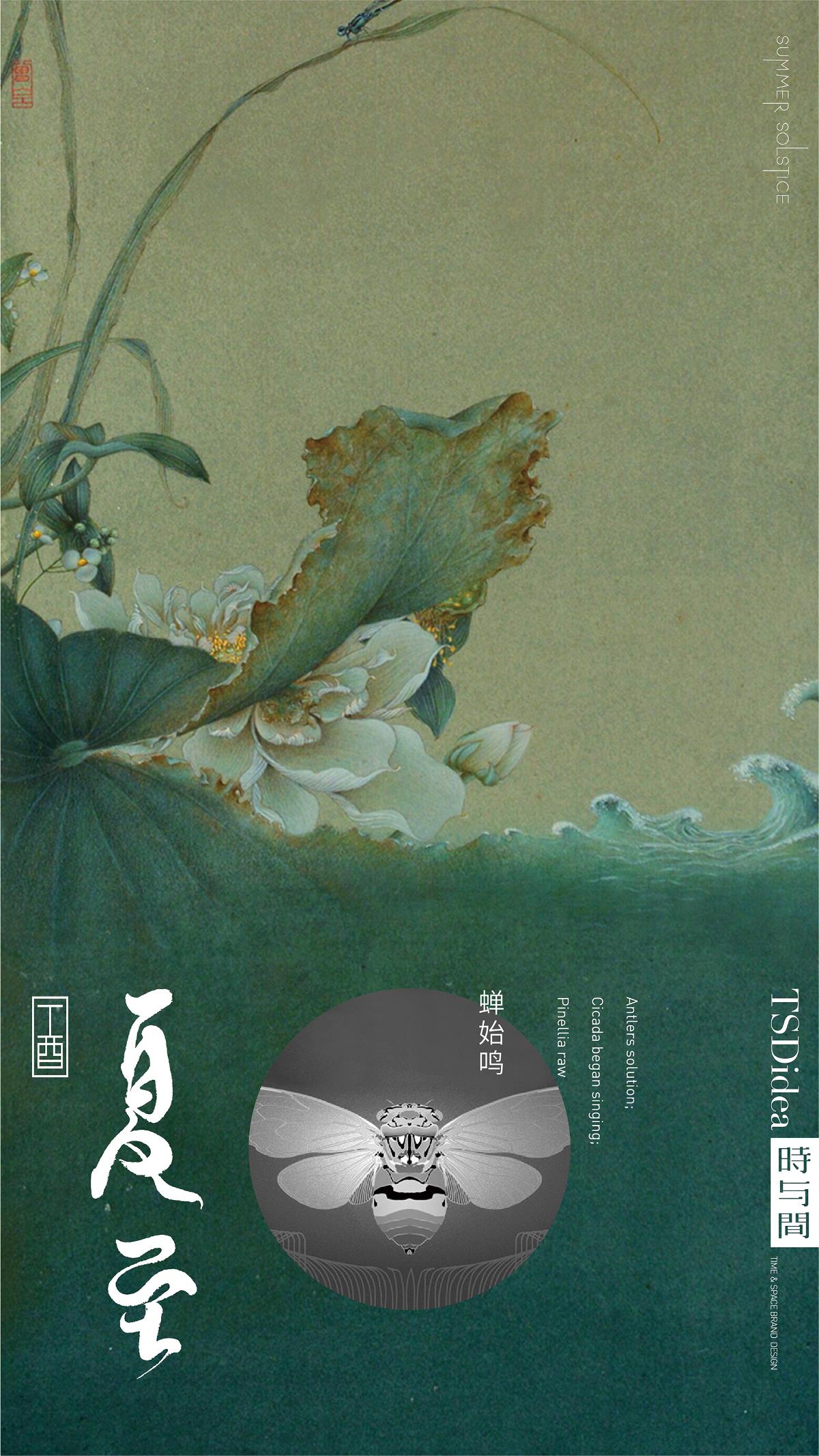 节 日 | 节气海报--時与間設計