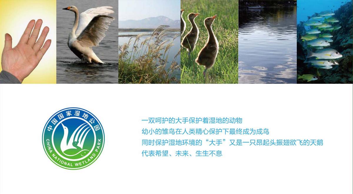 中国国家湿地公园标志LOGO+VI