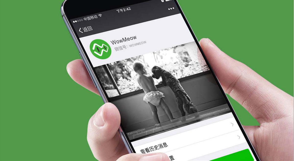 哇妙  标志LOGO设计+VI设计