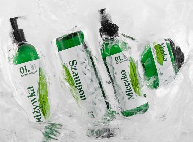 Basil Element 产品包装设计