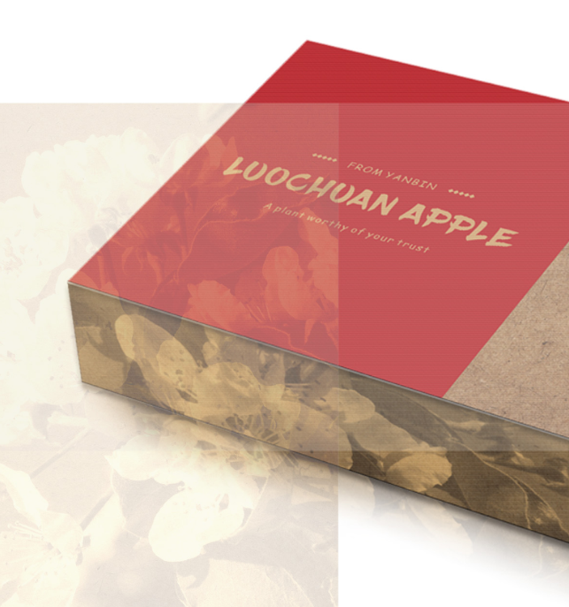 西安包装设计-燕宾果业苹果包装设计