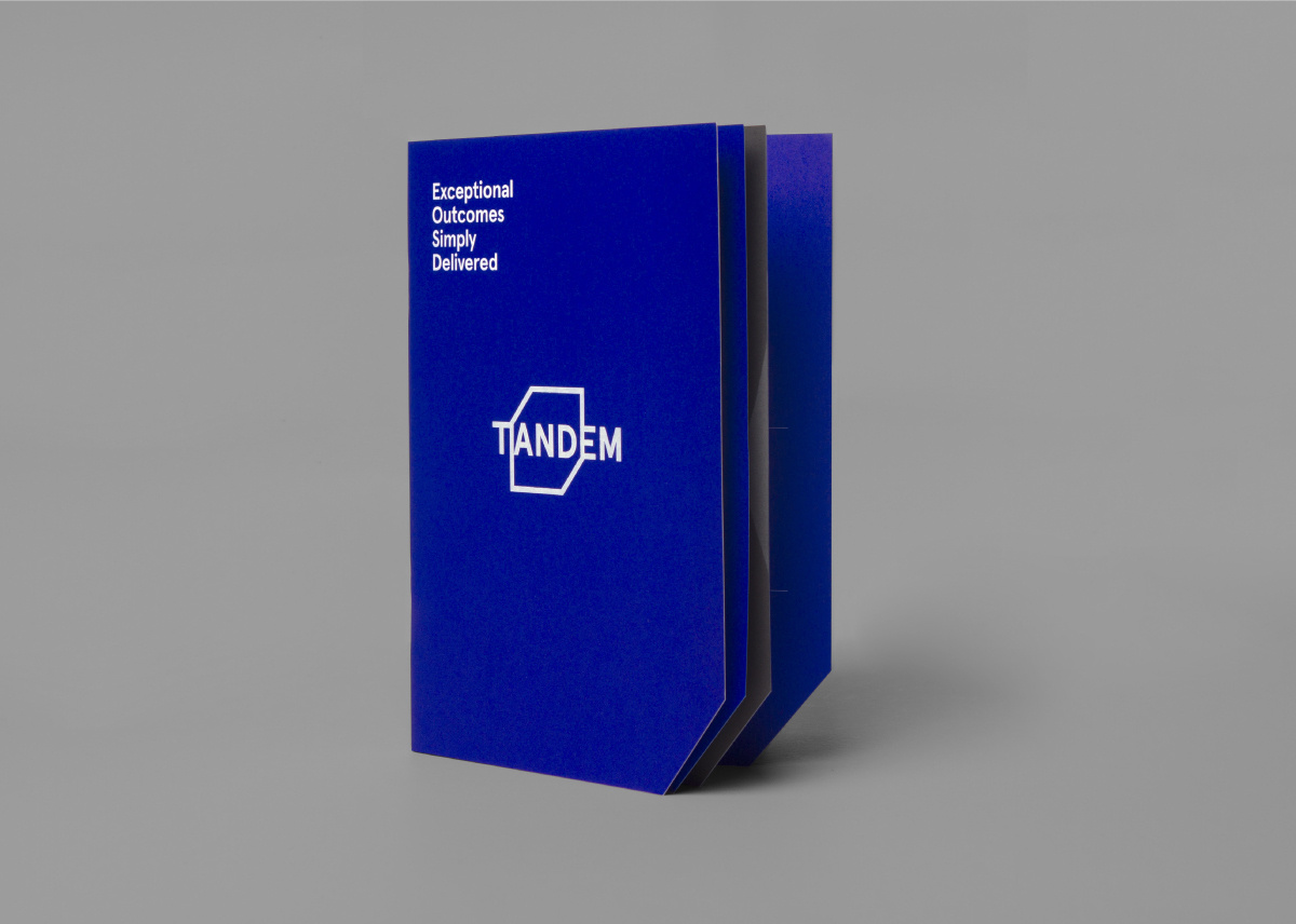 Tandem交付公司品牌形象VI设计