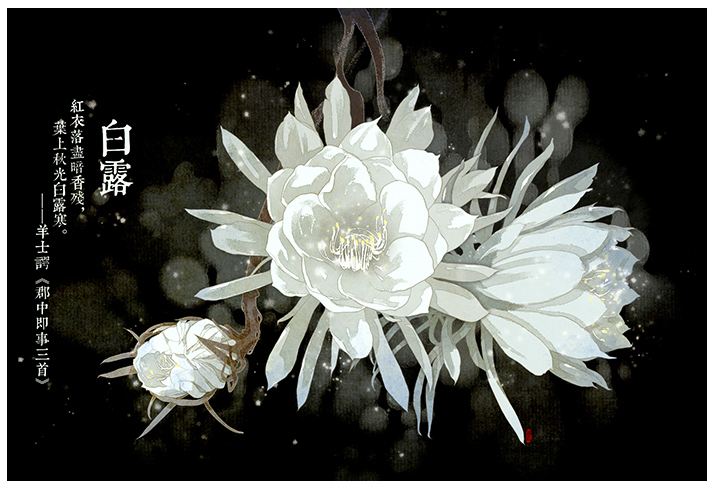 在24节气花卉插画中感受花之馨香 诗之清韵