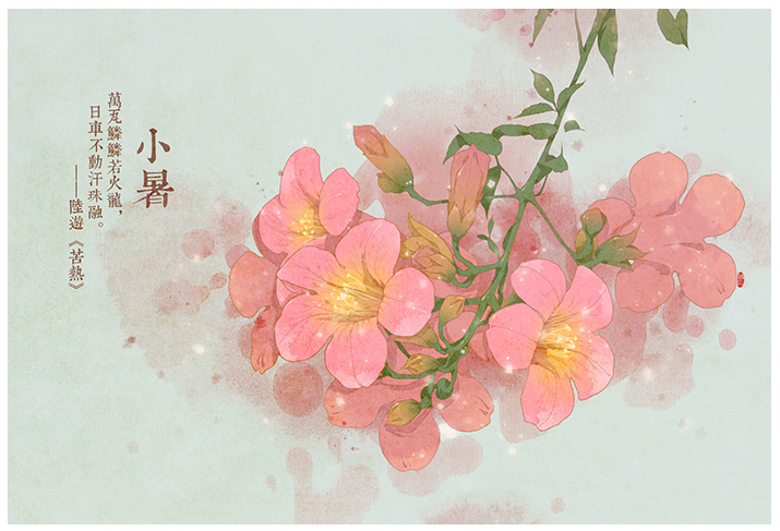 在24节气花卉插画中感受花之馨香 诗之清韵