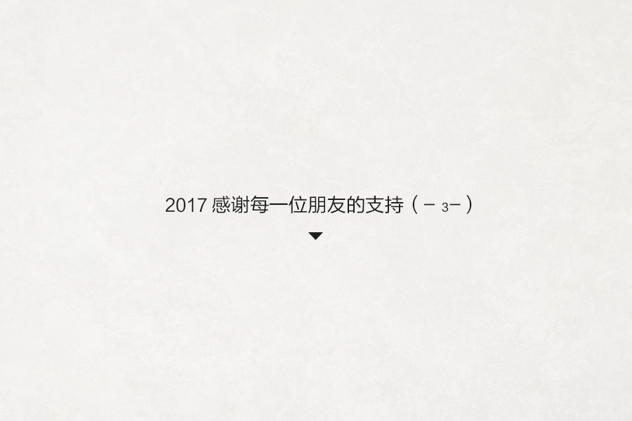 2017王先亮 原创标志集合