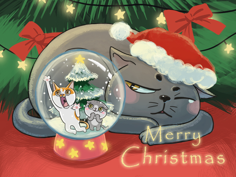 没喵病CatF3_圣诞快乐Merry Christmas~