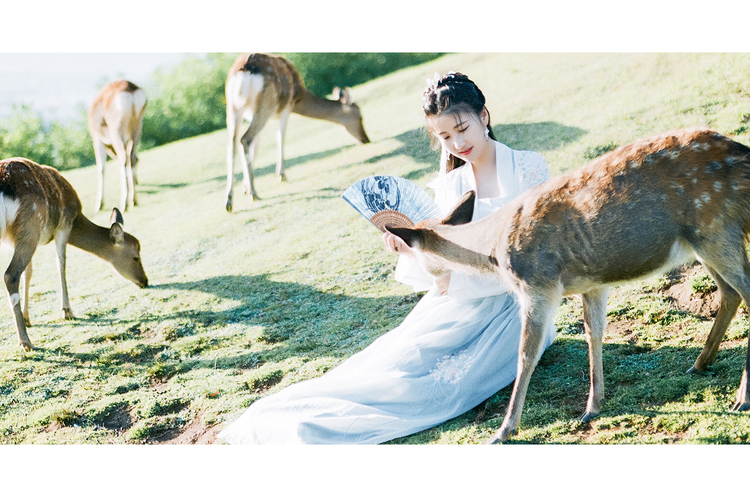奈良有鹿—人像摄影