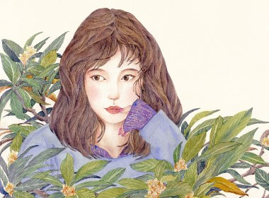 红花HONGHUA插画欣赏