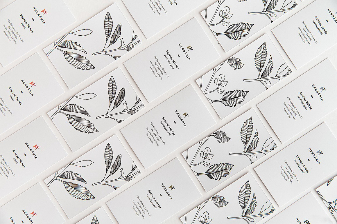 HERBARIA插图草本中药薄荷茴香鼠尾草系列品牌设计