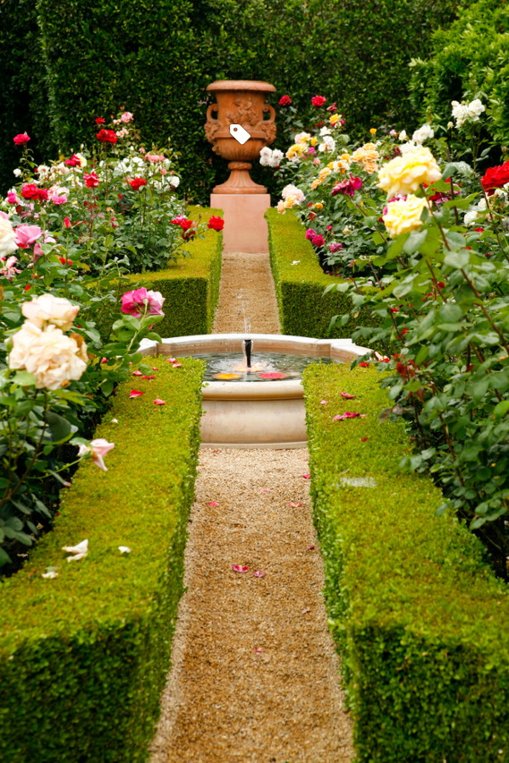 庭院设计|令人憧憬的蔷薇庭园