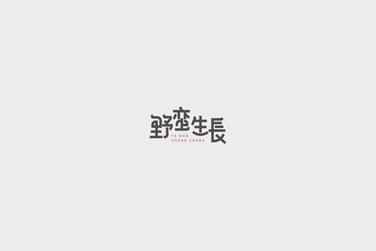 2017字体设计总结