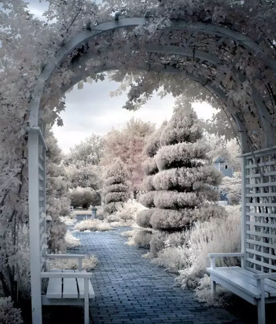 庭院设计|雪景庭院