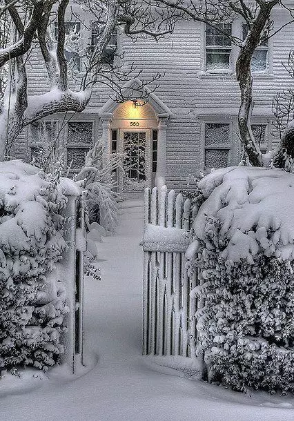 庭院設計|雪景庭院