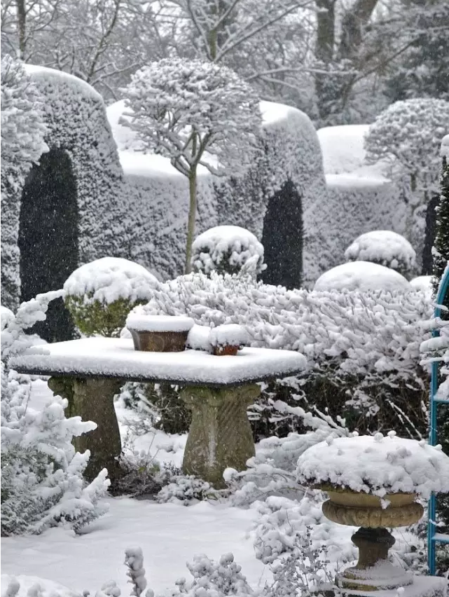 庭院設計|雪景庭院