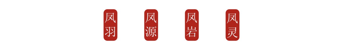 山西菲尼克司紅酒品牌包裝設(shè)計(jì),葡萄酒包裝設(shè)計(jì),古一設(shè)計(jì)