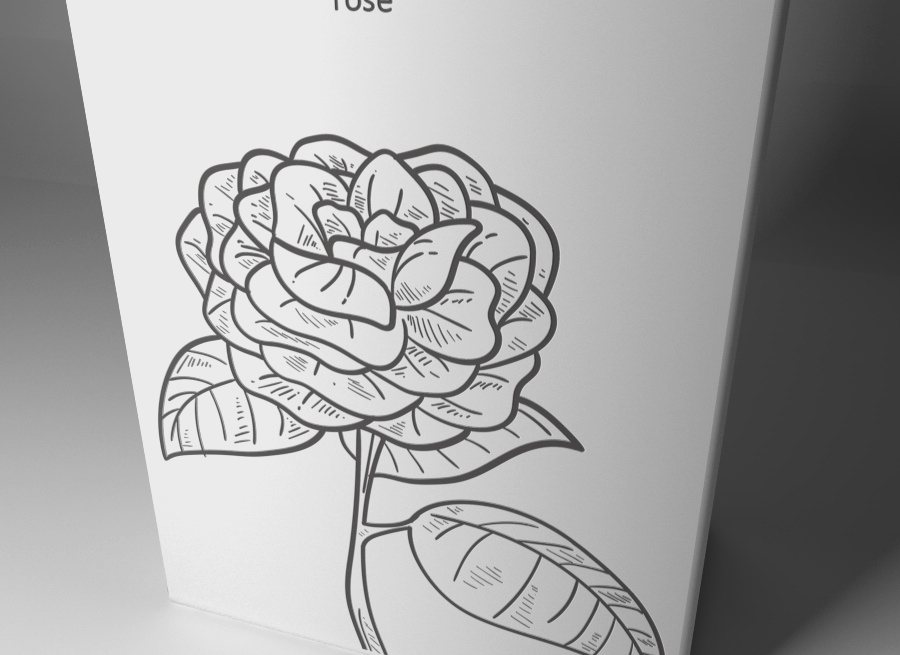 玫瑰酒品牌包裝設計