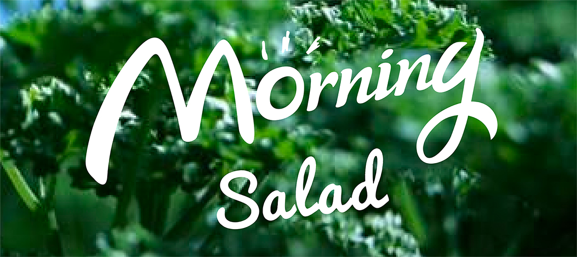 【转运猫品牌VI设计】Morning salad/一家互联网沙拉店