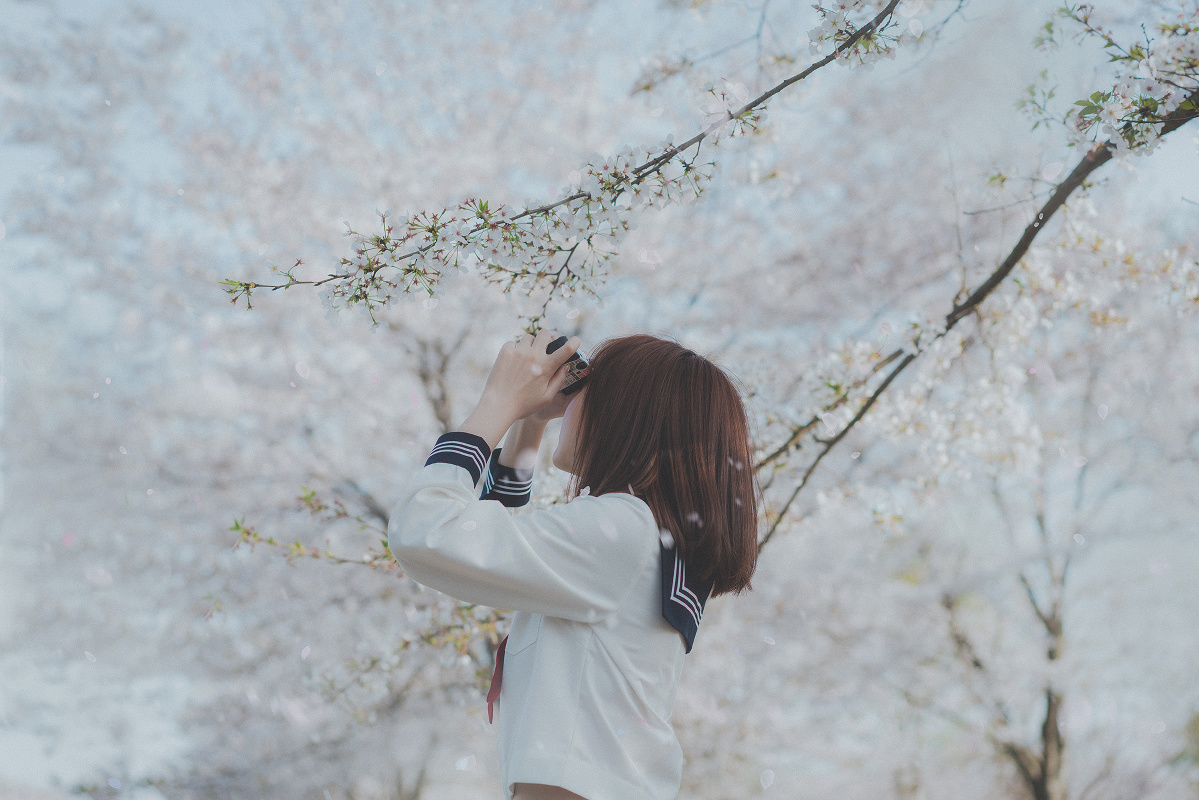 樱花日记—人像摄影