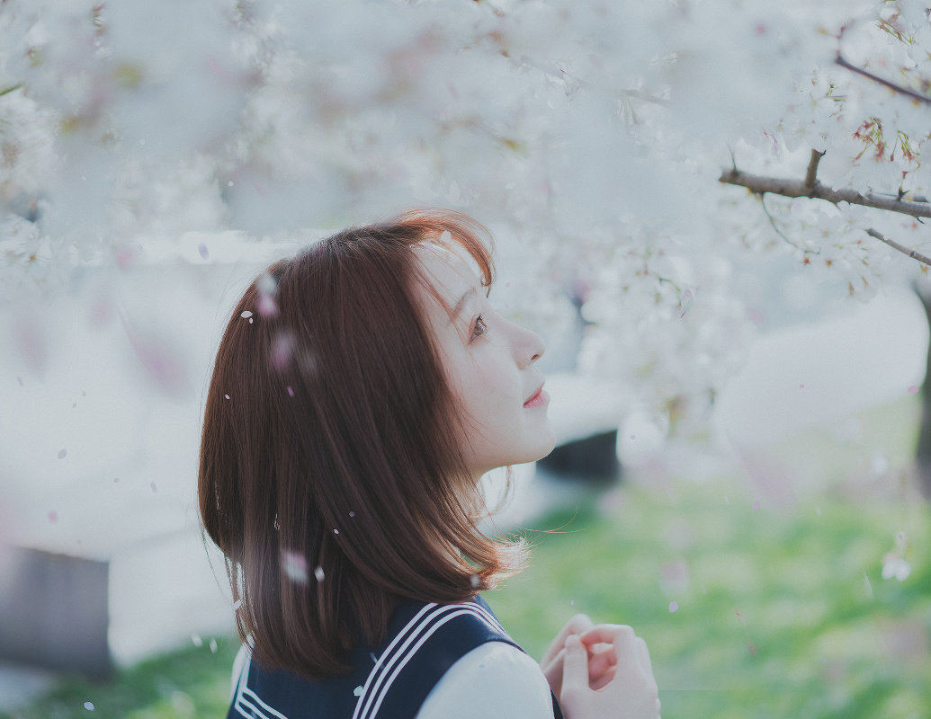 樱花日记—人像摄影