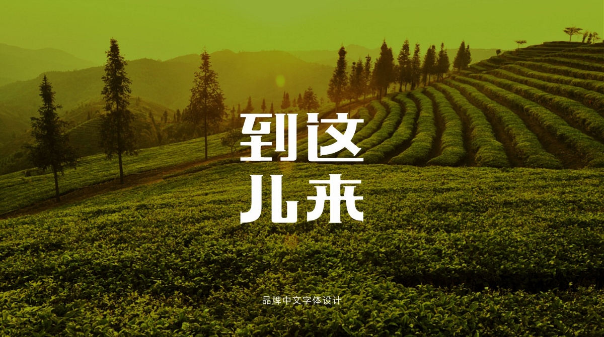 農(nóng)業(yè)品牌全案設(shè)計(jì)-到這兒來