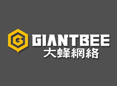 网络公司VI设计--大蜂网络