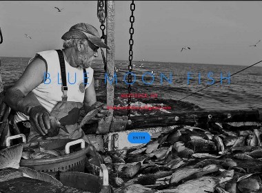 一番一站：“餍足于味蕾，感恩于海洋”渔业行业网站