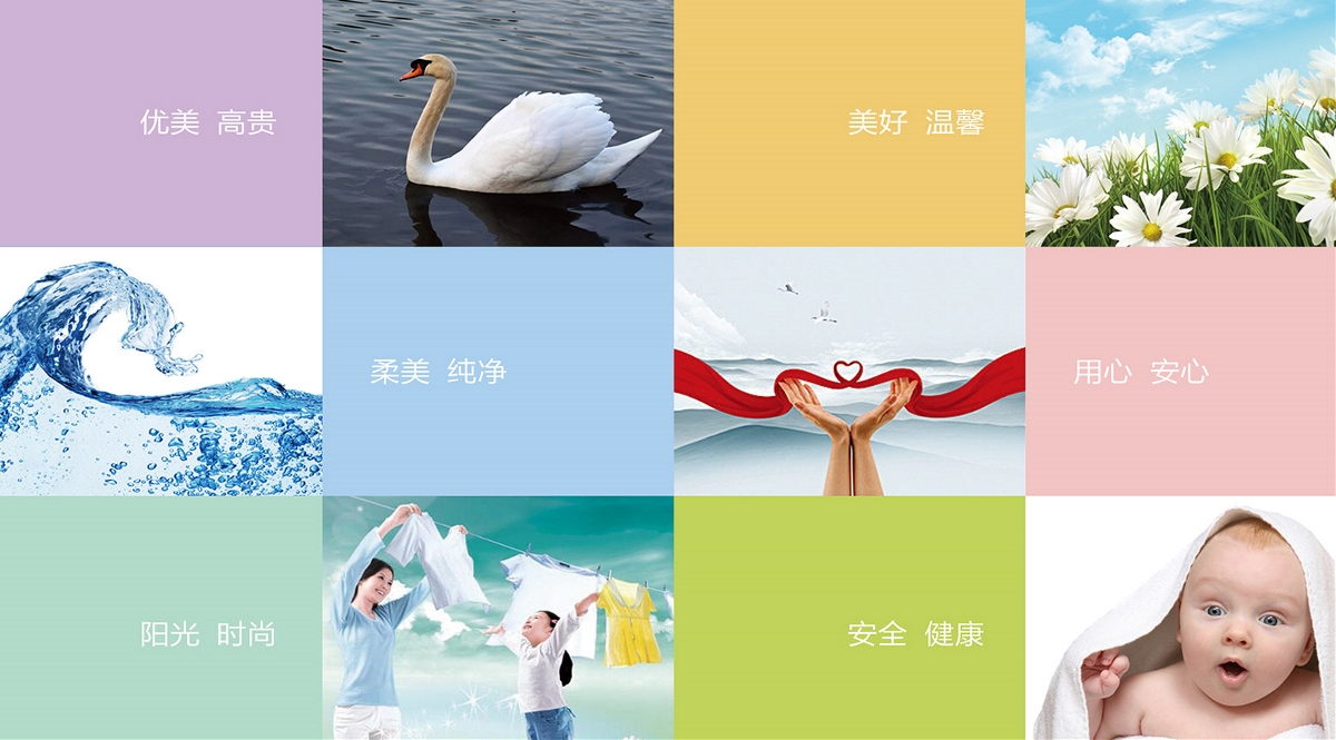 家有仙妻---品牌全案