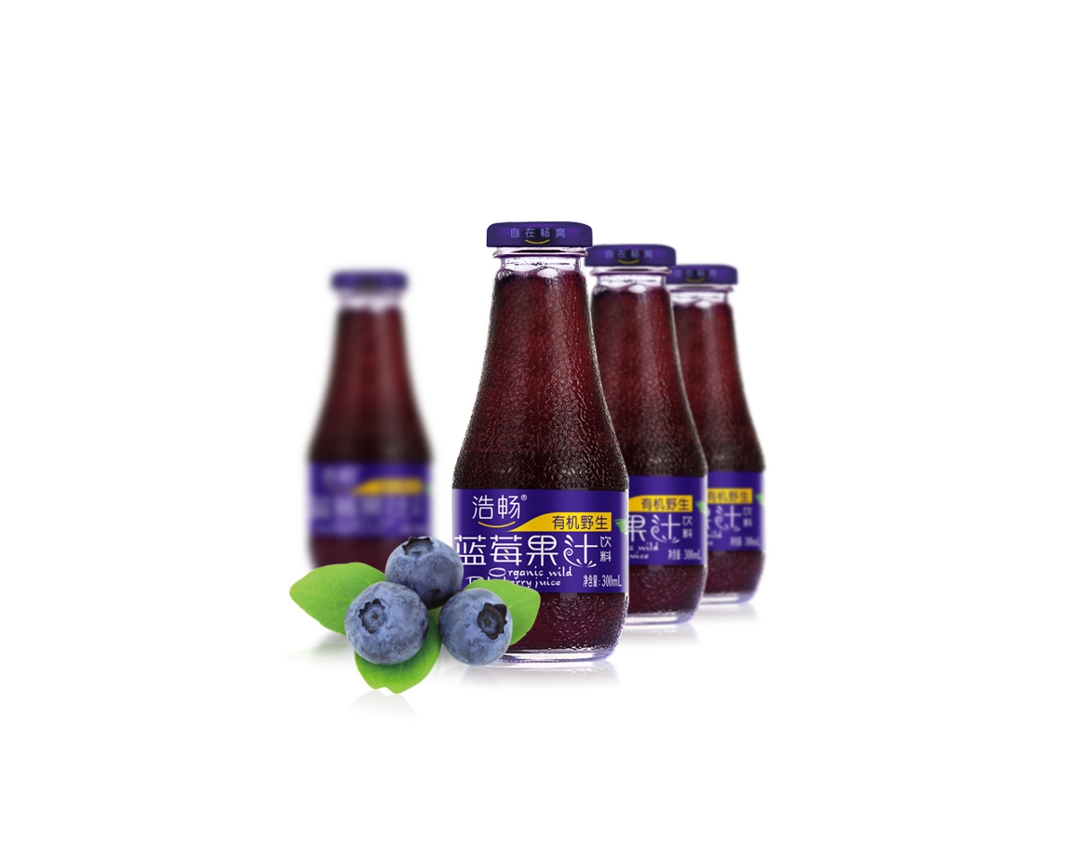 有机蓝莓果汁包装设计
