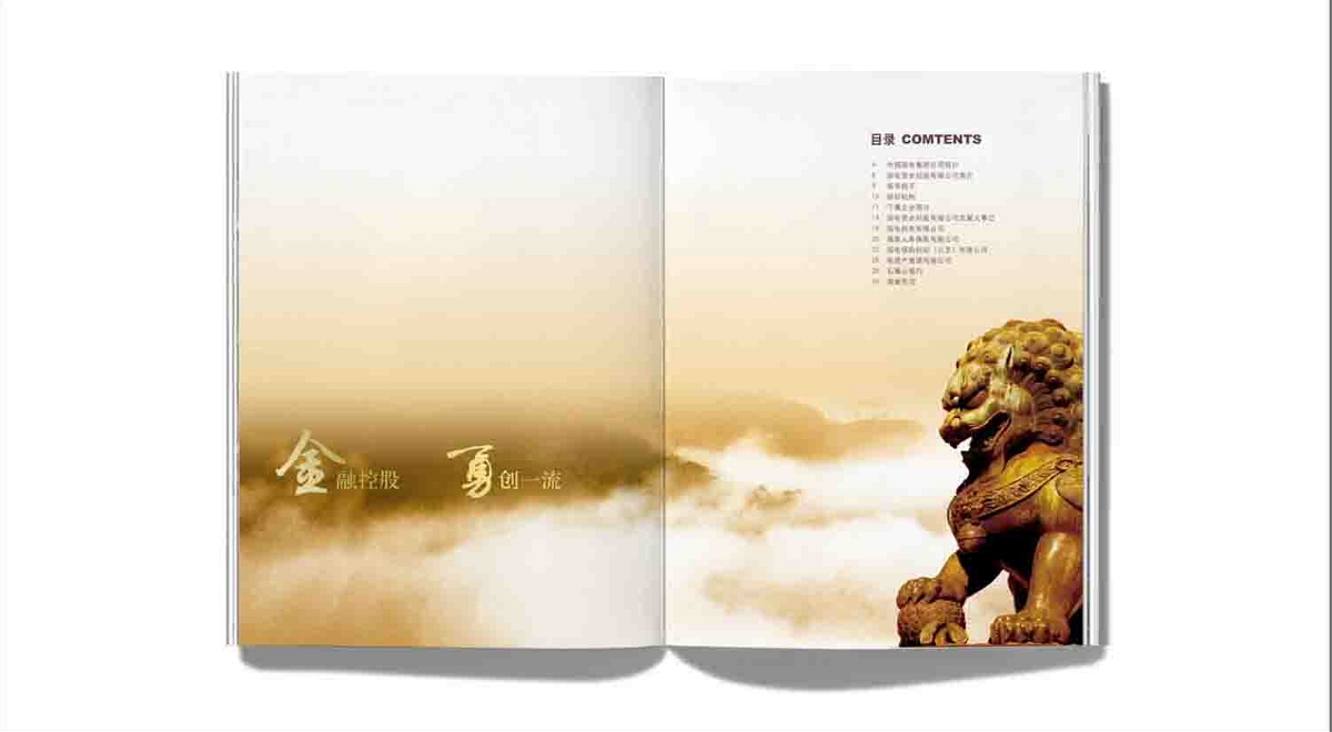 中国国电资本控股  金融投资  北京画册设计
