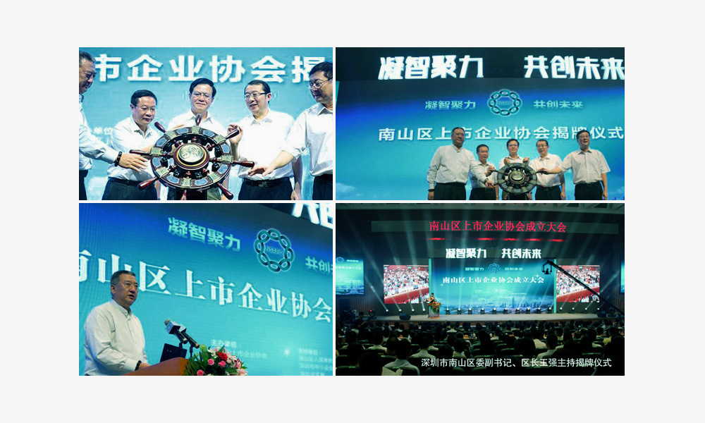 深圳市南山区上市企业协会Logo设计