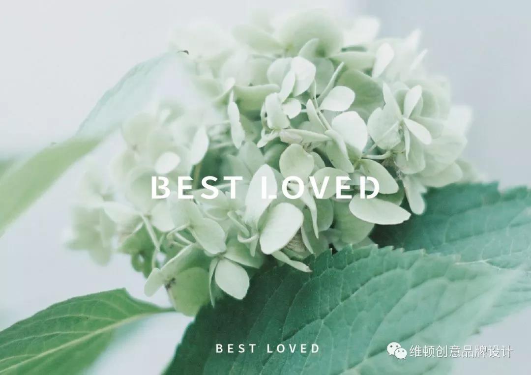 “Best loved”皮膚管理品牌vi